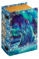 Подарок Люкс №4 (Книга "Северное сияние")
