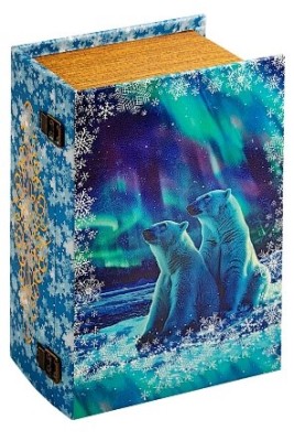 Подарок Люкс №4 (Книга "Северное сияние")